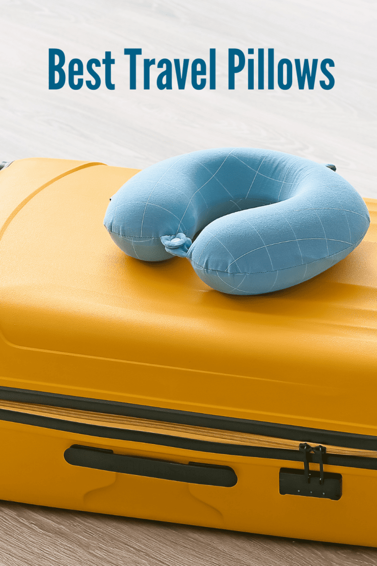 The Great Travel Pillow Search
