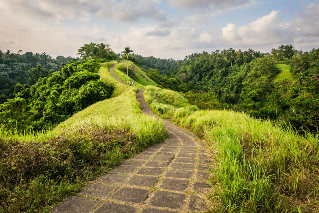 Week in Bali