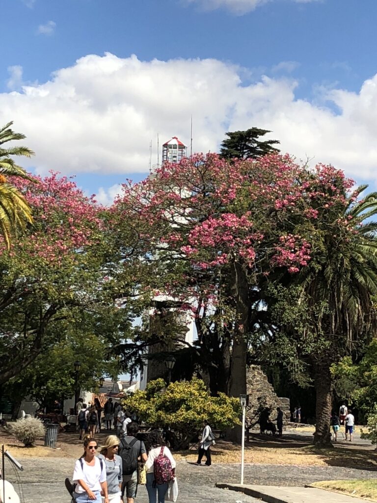 Spend a day in Colonia del Sacremento Uruguay