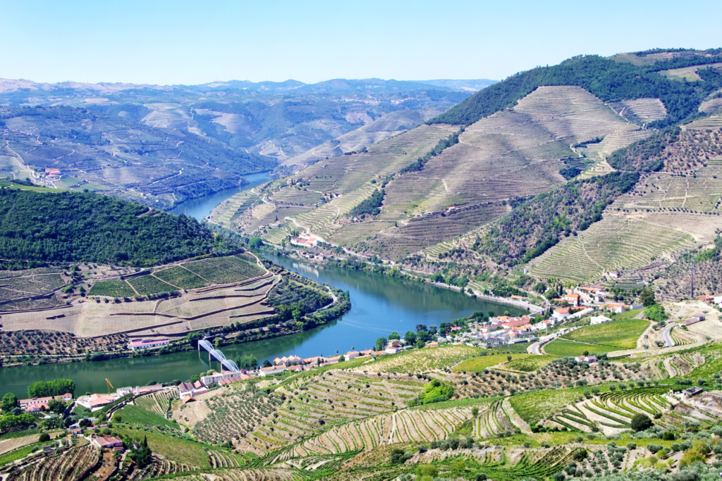 day in douro valley