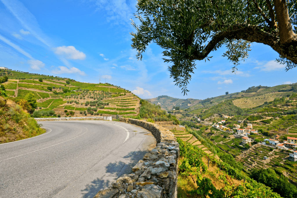 day in douro valley
