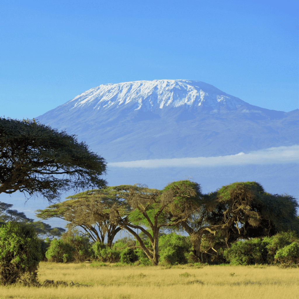 Amboseli Nairobi Day Trip