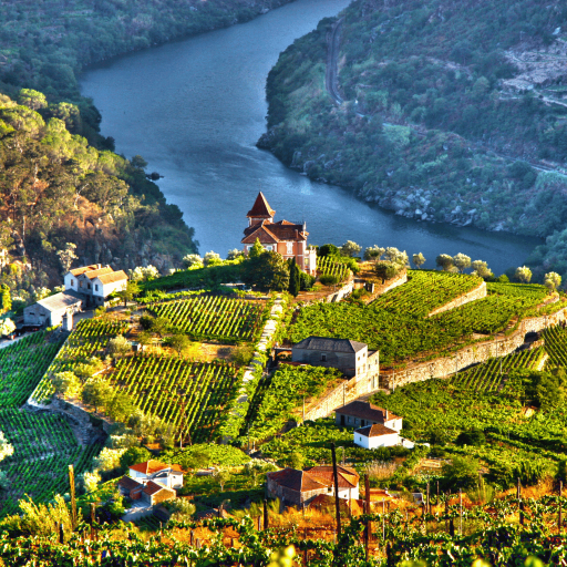 One Day in the Douro Valley