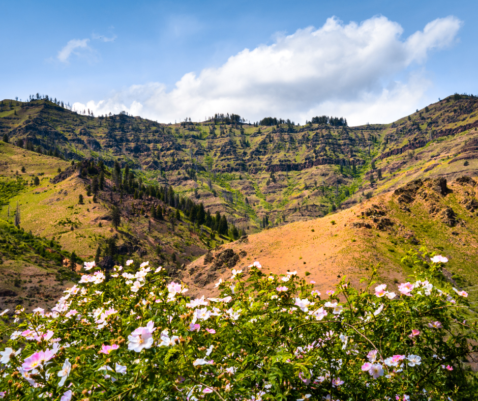 Idaho