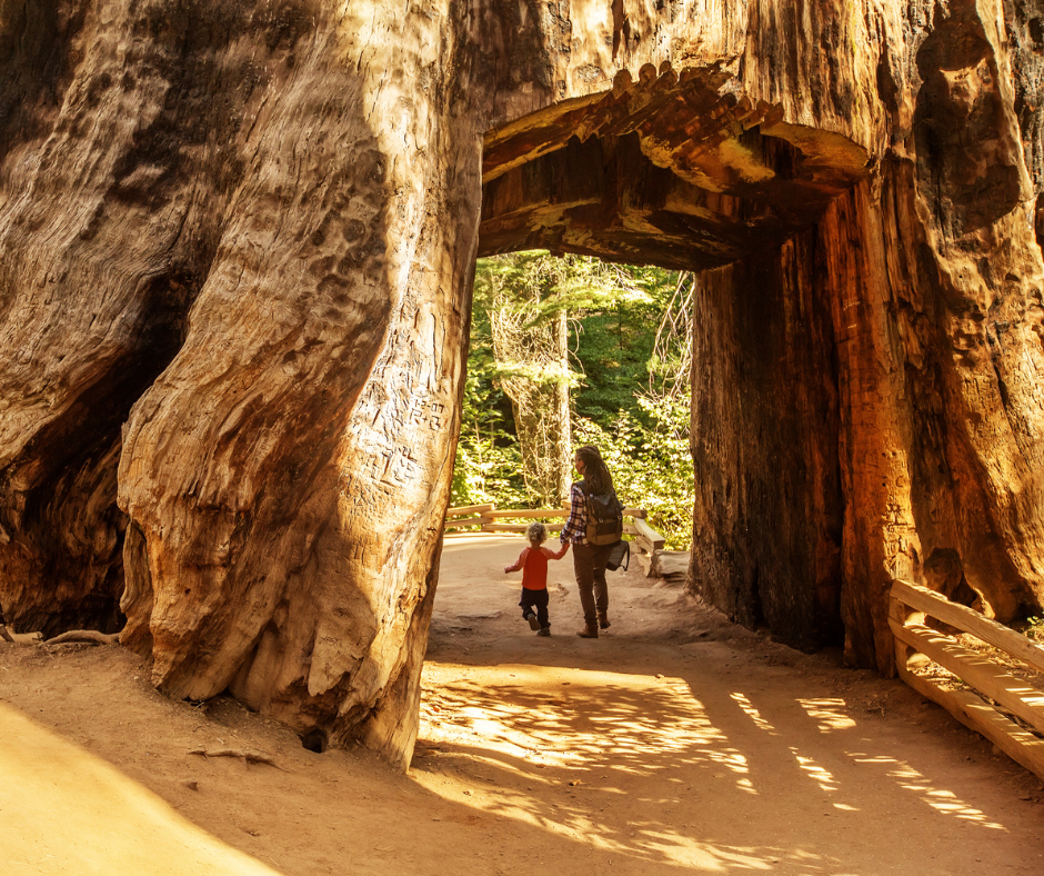 Yosemite