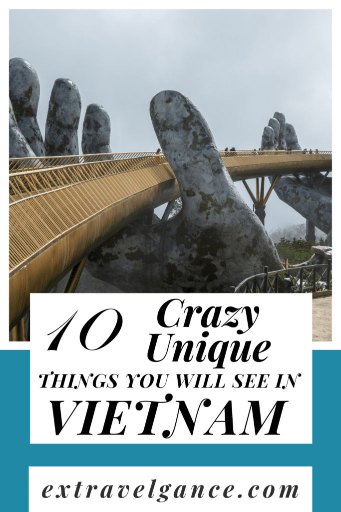 crazy Vietnam