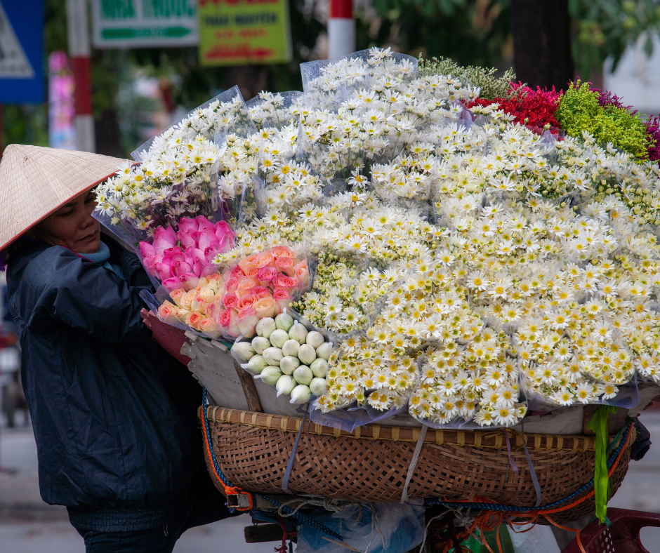 5 days in Hanoi