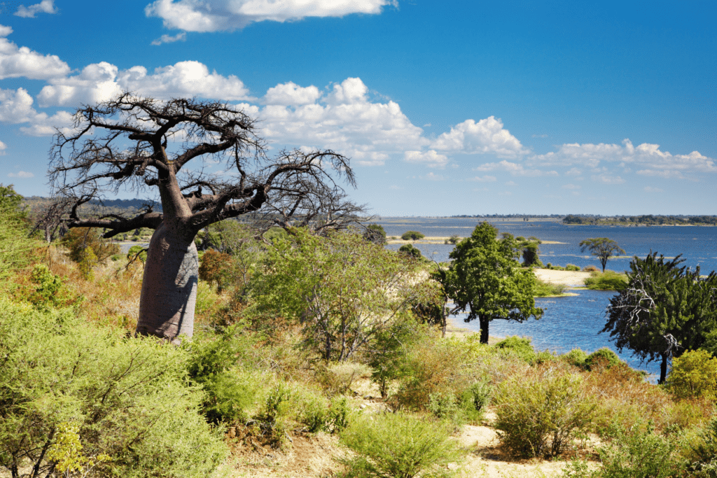 Chobe National Park