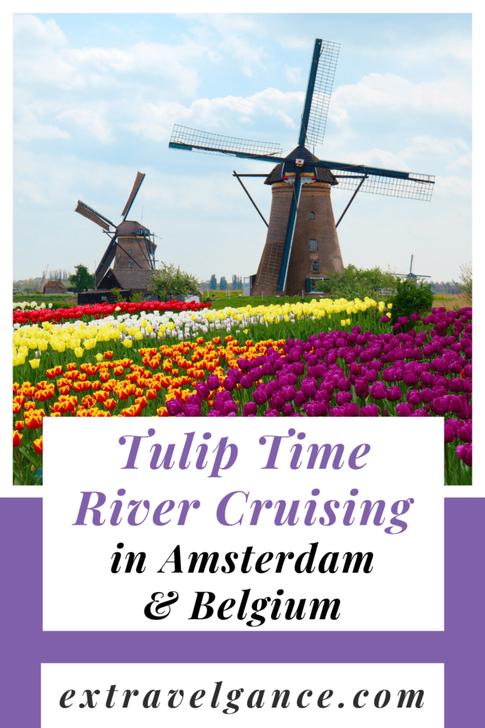 Tulip time Cruising