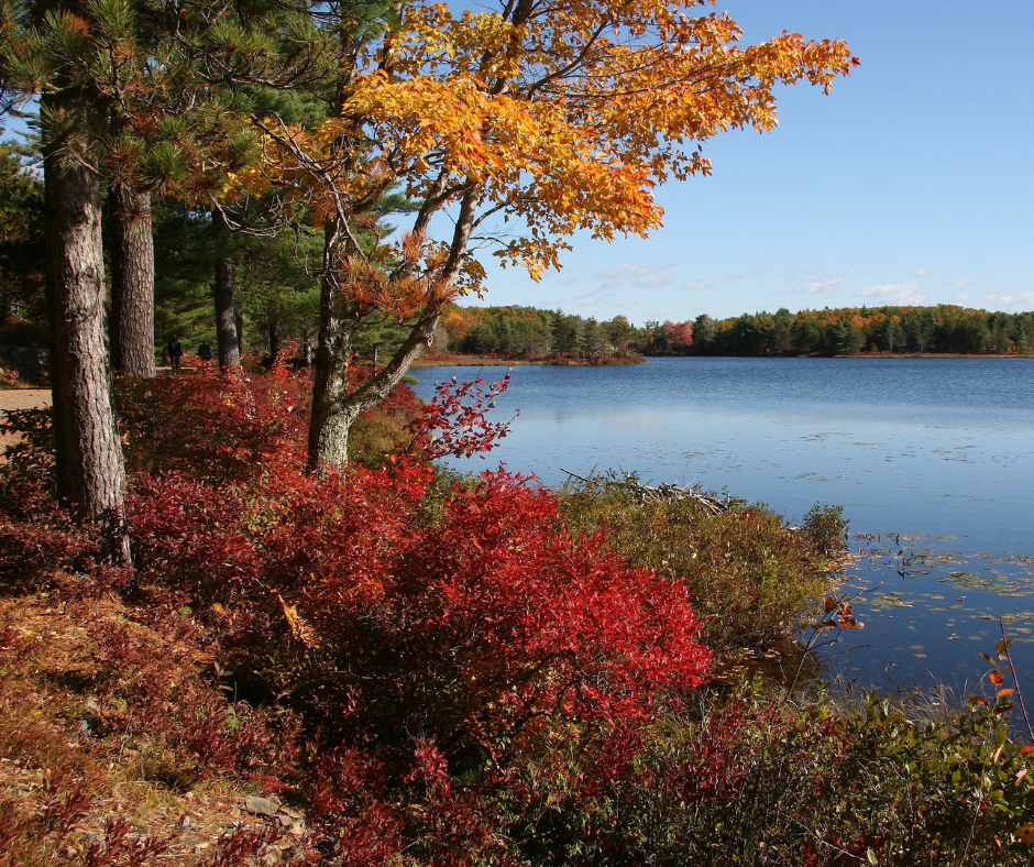 7 Sites to See in Maine