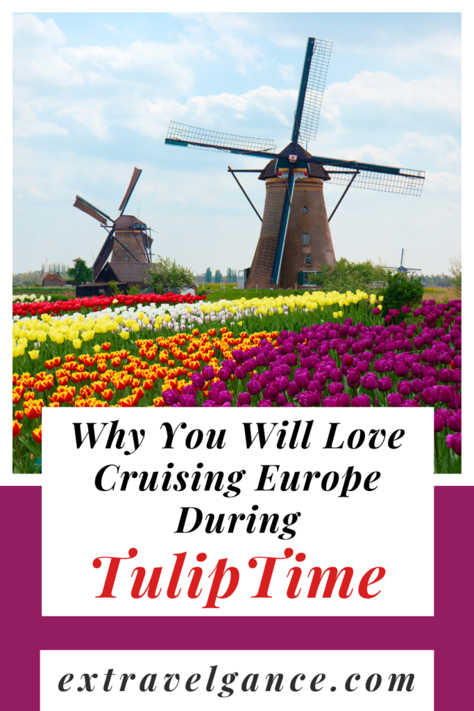 tulip time