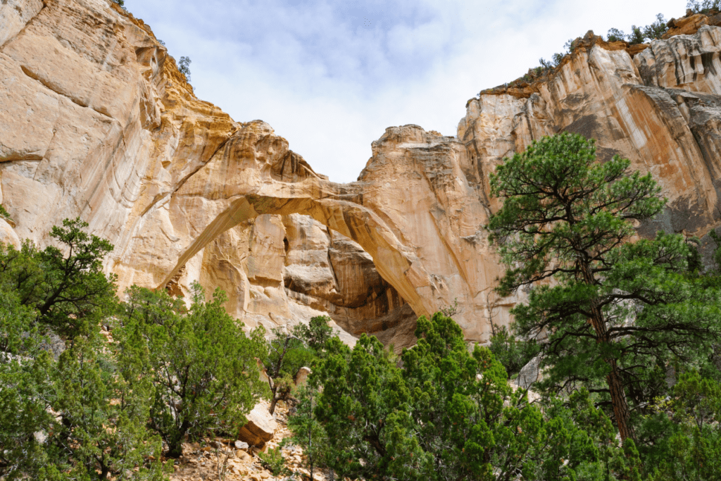 sites in New Mexico