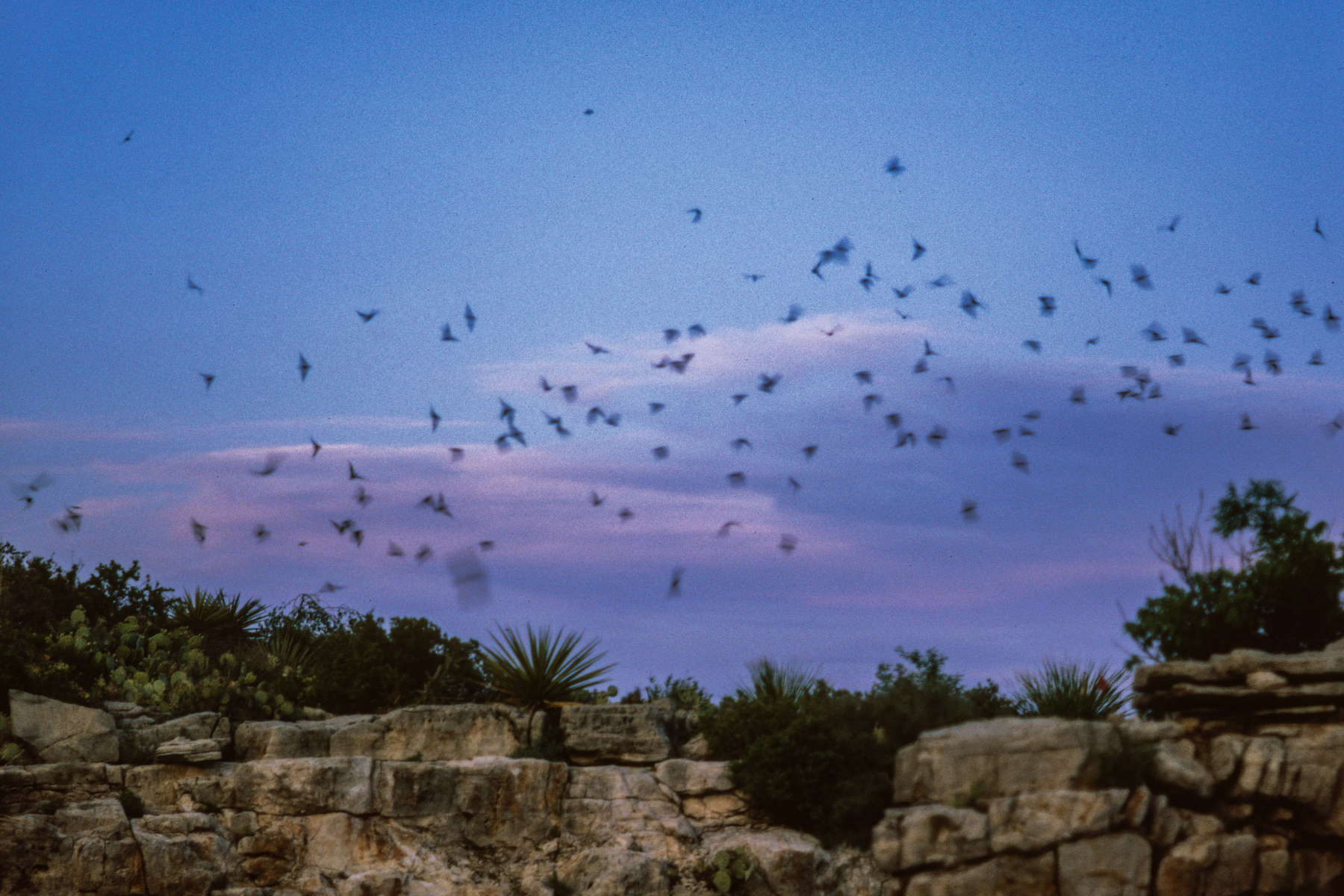 sites in New Mexico