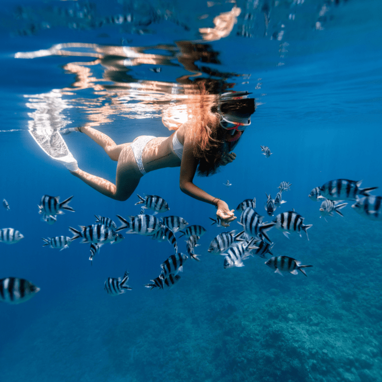 5 Amazing Snorkeling and Diving Sites From Puerto Vallarta