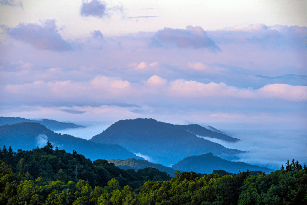 North Carolina