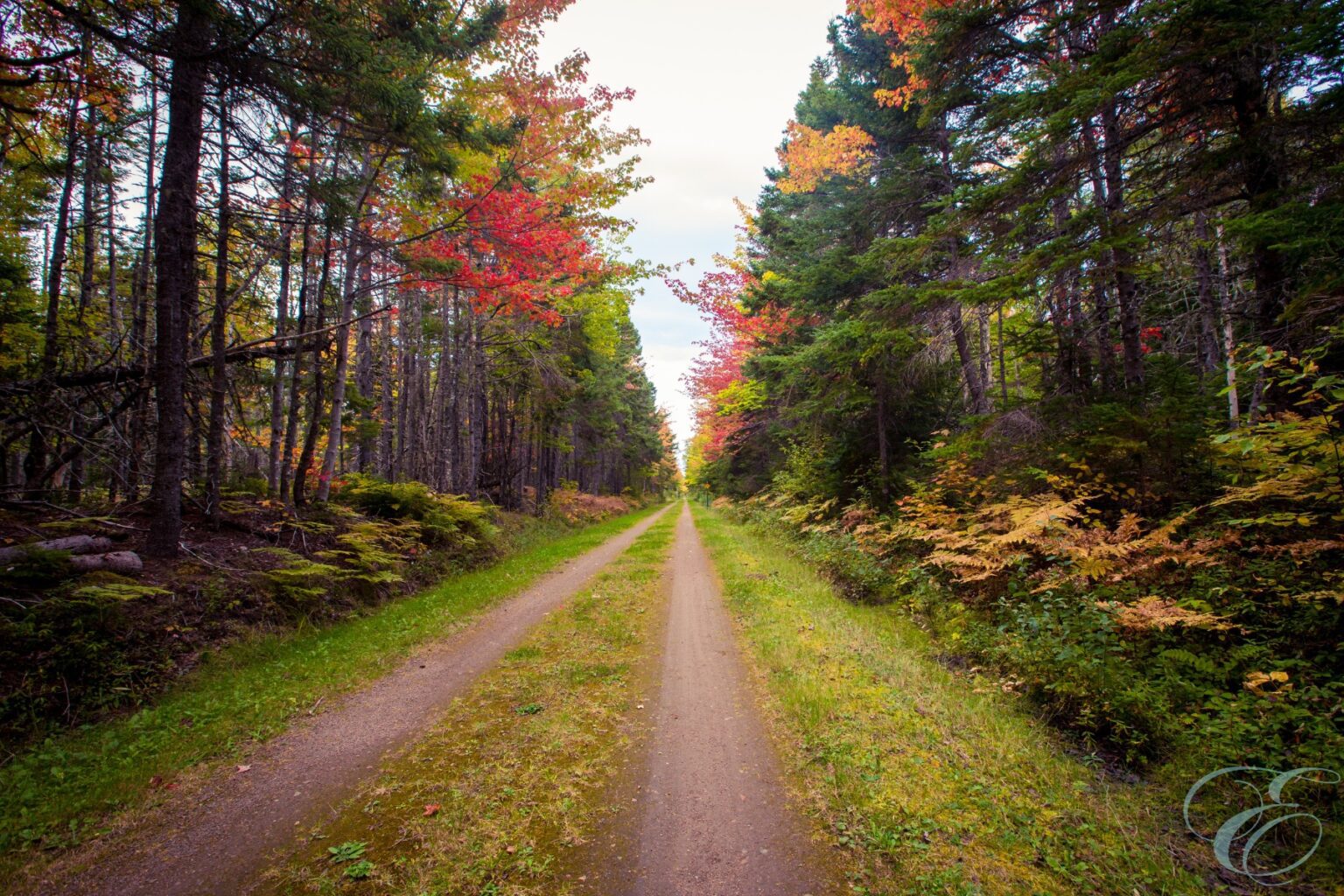 The Best Sites to See in Charlottetown, Prince Edward Island
