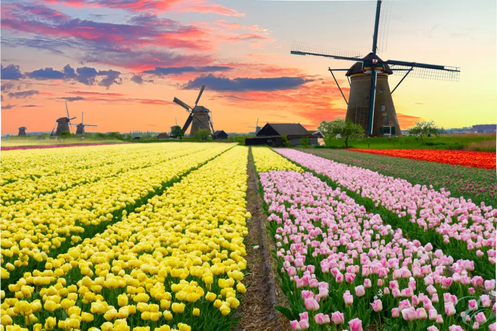 Windmills of Holland