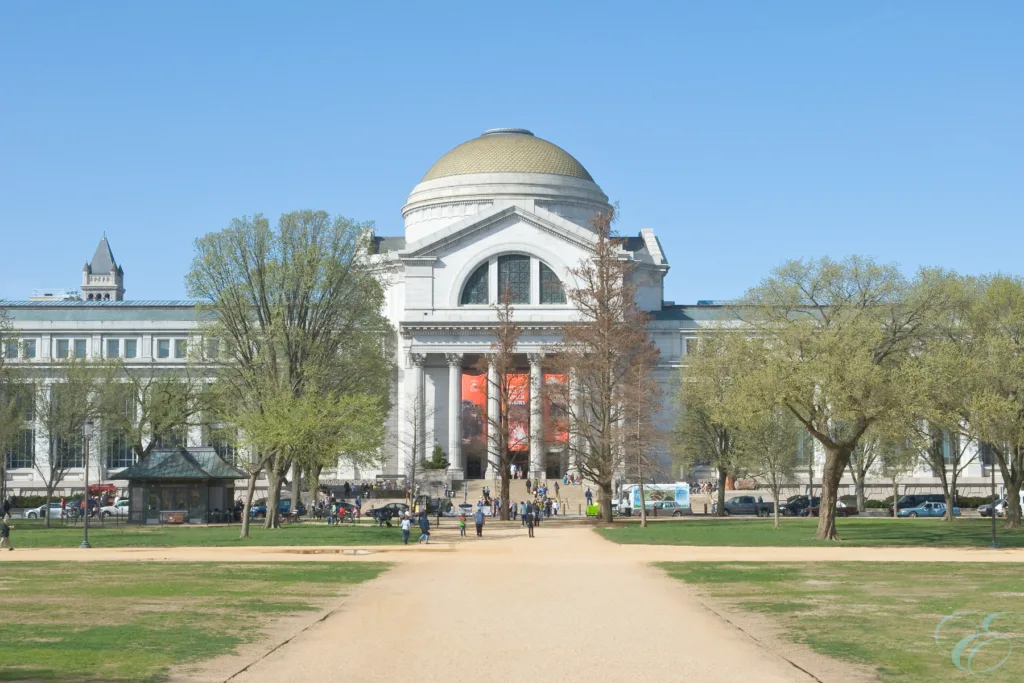 Washington D. C.