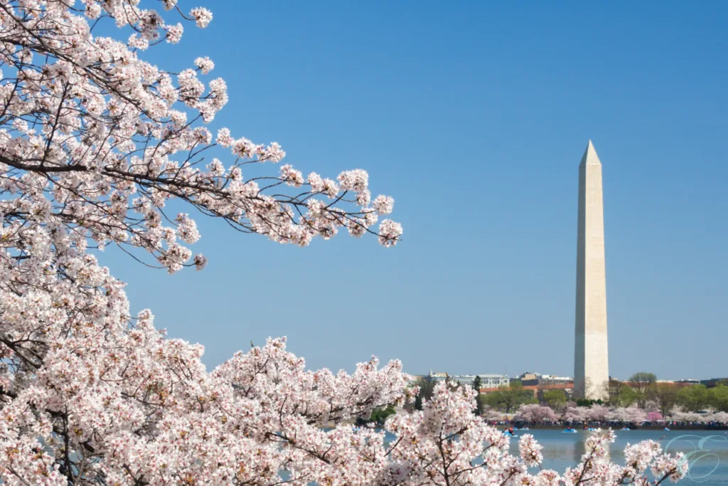 Washington D. C.