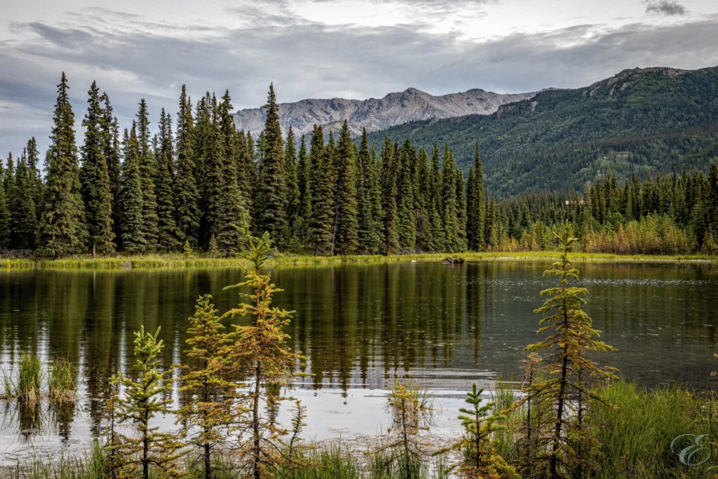 Denali and Talkeetna