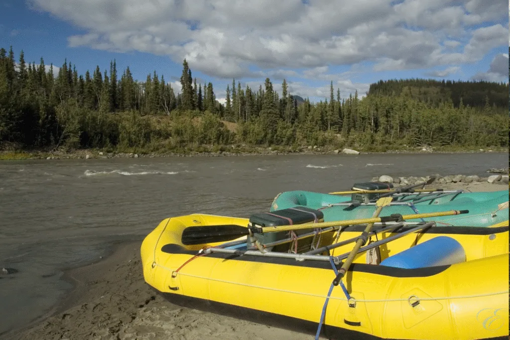 Denali and Talkeetna