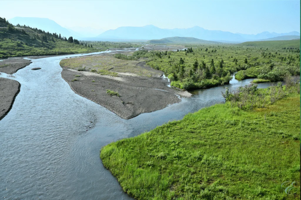 Denali and Talkeetna