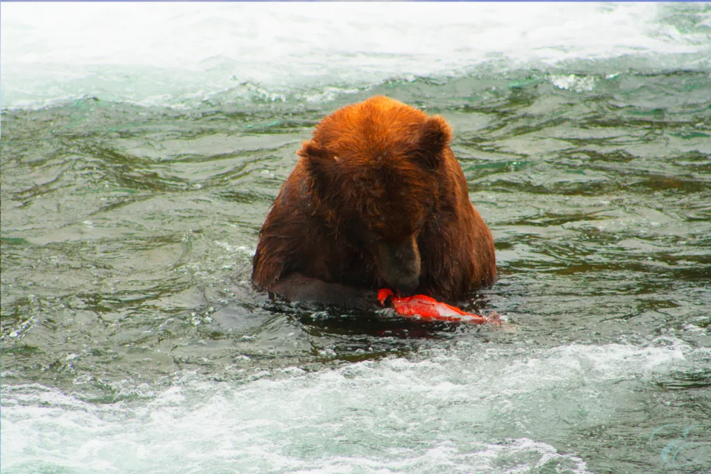 Cooper Landing Alaska