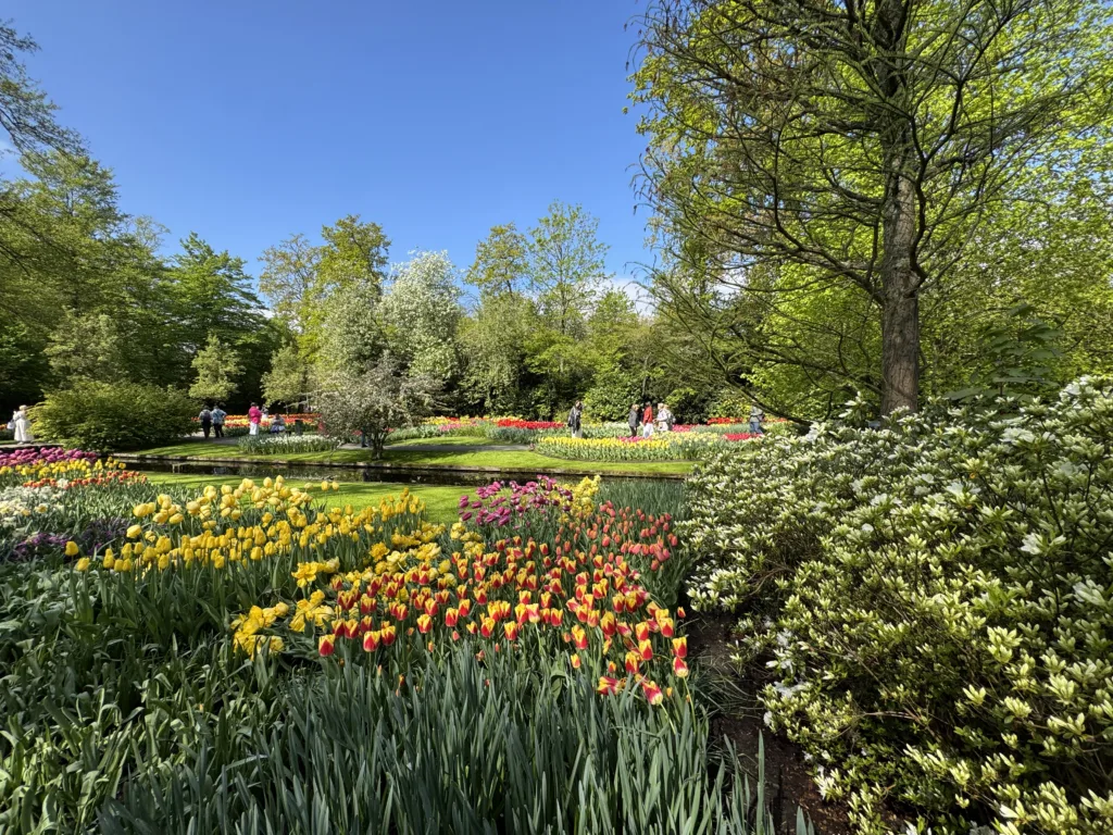 Tulip time cruise on Avalon