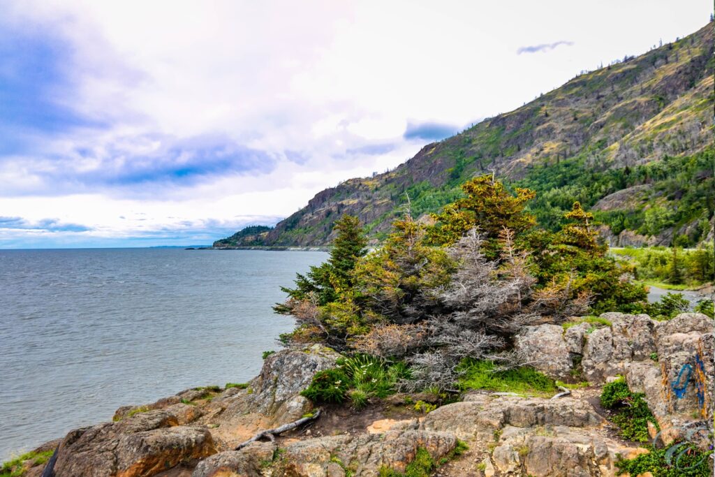 10 days Alaska Kenai Peninsula Itinerary 