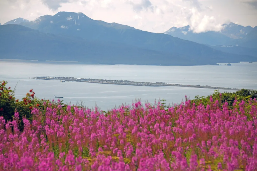 10 days Alaska Kenai Peninsula Itinerary 