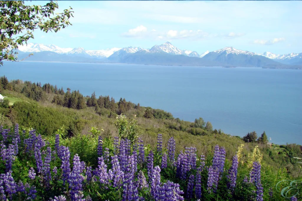 10 days Alaska Kenai Peninsula Itinerary 
