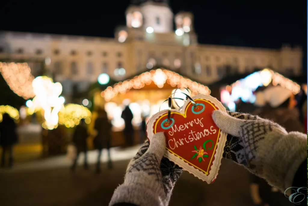 Vienna Christmas Markets
