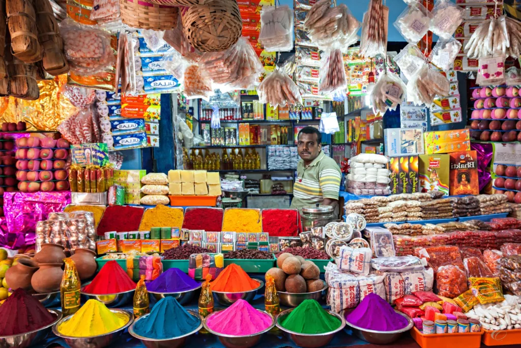 reasons to travel in India