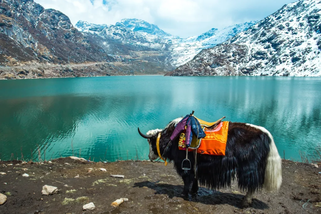 reasons to travel in India