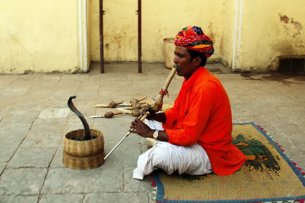 reasons to travel in India