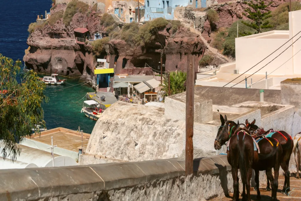 Do it anyway: Iconic Experiences Travel Guides Love to Hate