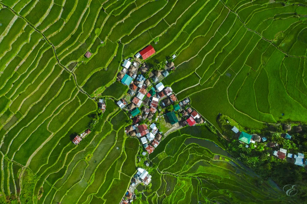 Philippines unique experiences