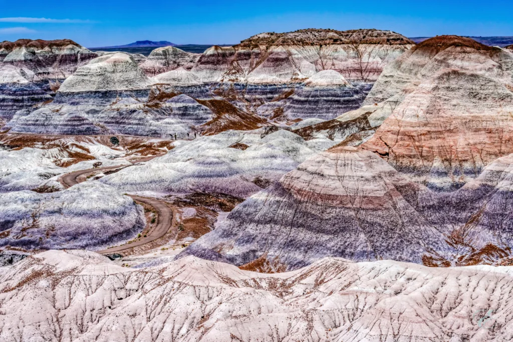 Great American Road Trip