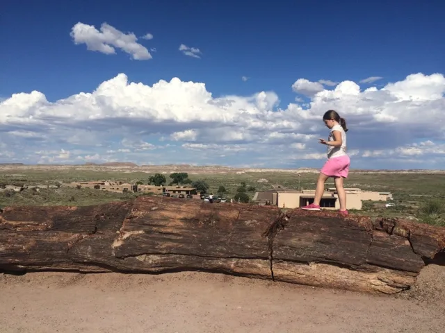 Great American Road Trip